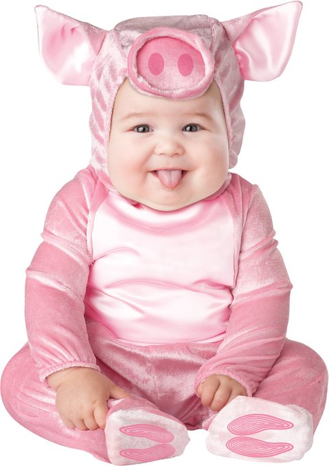 baby pig costume
