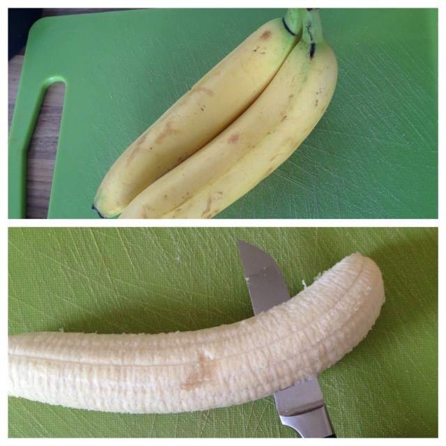 banana_dog_Collage