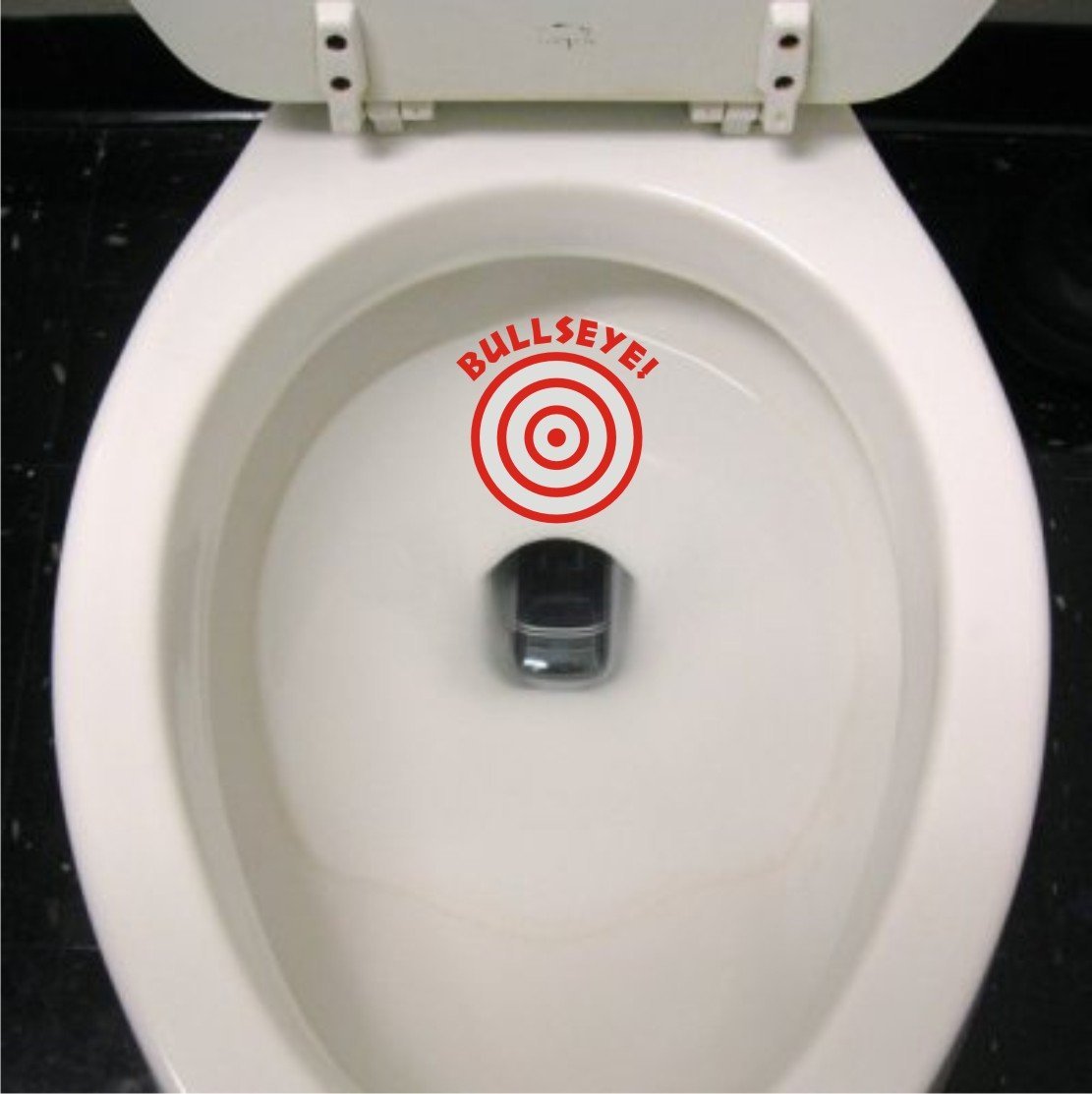 toilet target 1