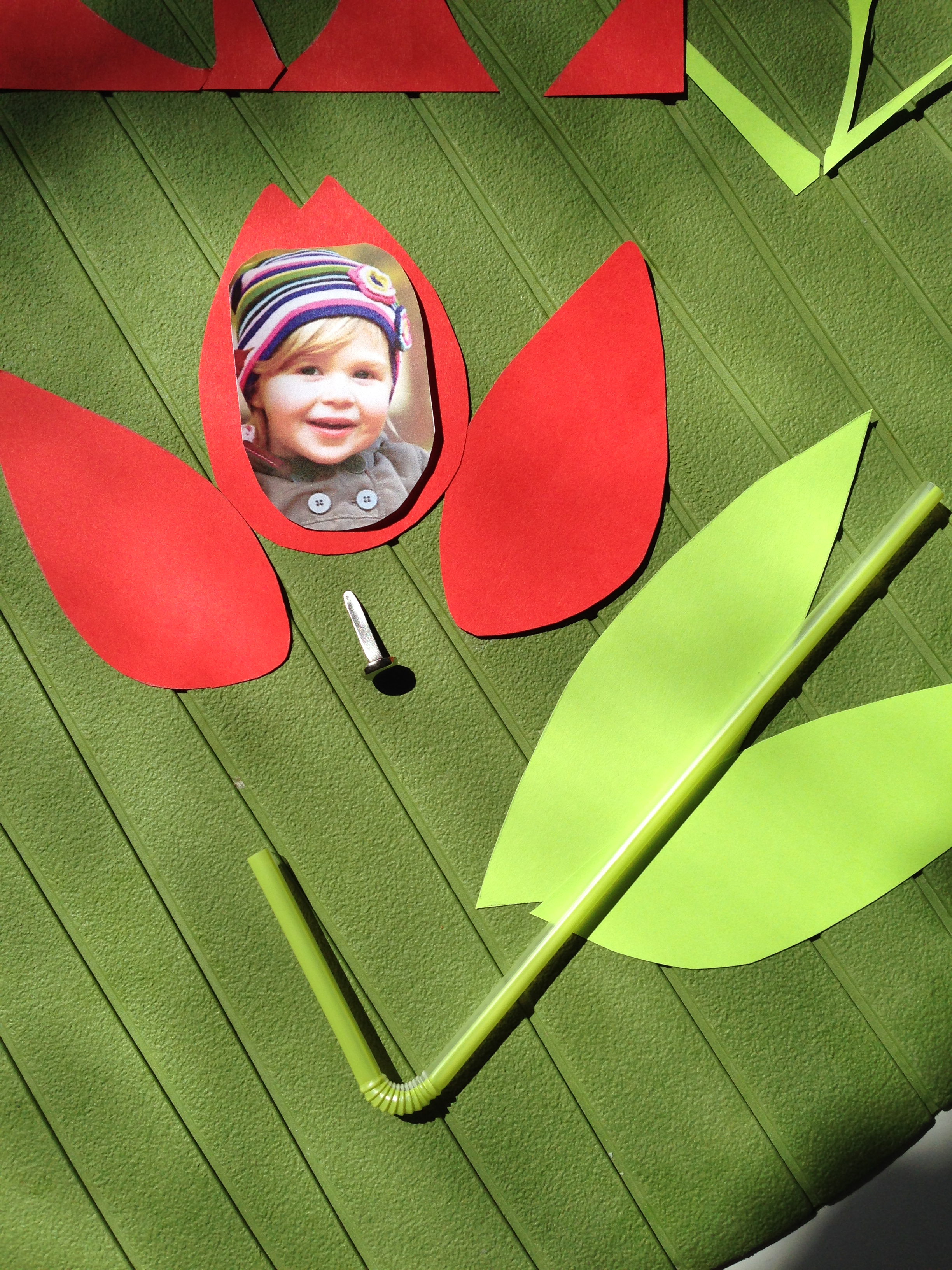 tulip cut outs