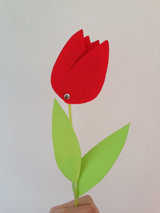 tulip result