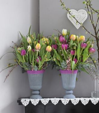 MD tulips bunch
