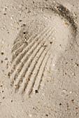 sandcastle-games4