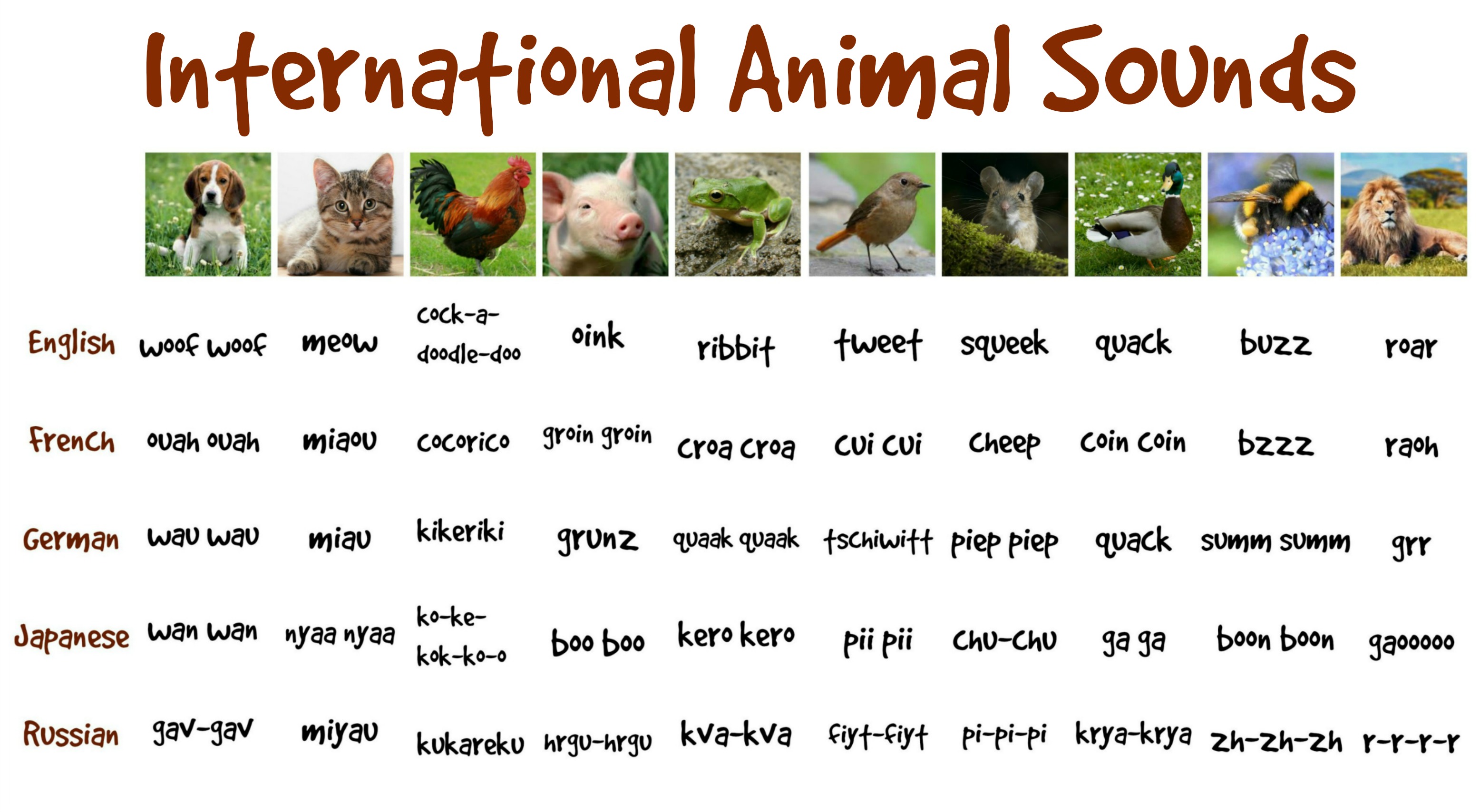 animal-sounds-learn-animal-and-sounds-of-animals-songs-for-children