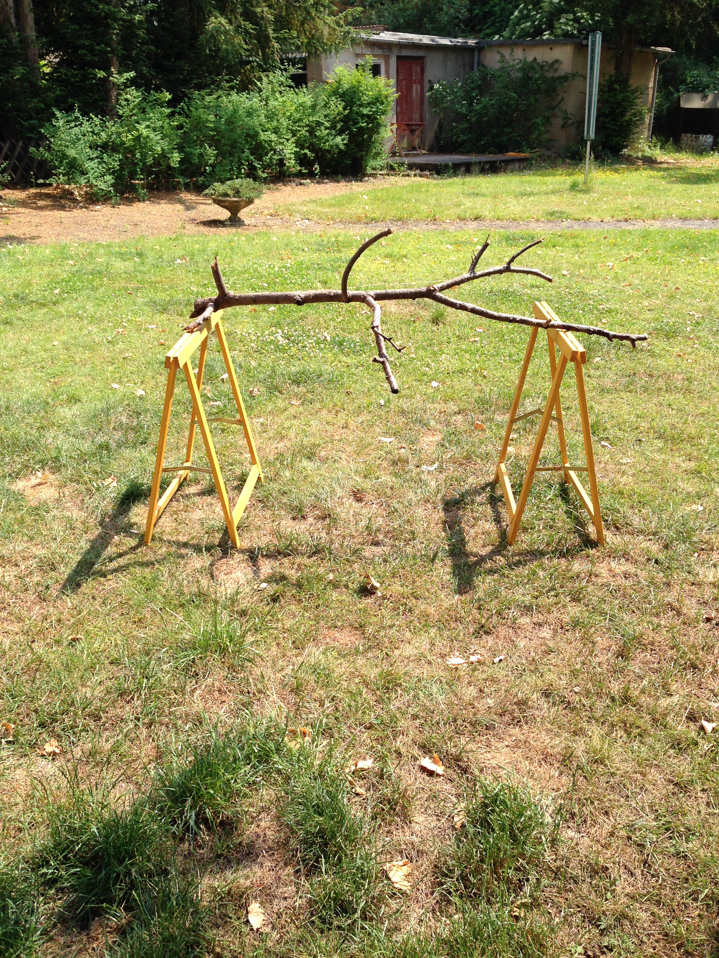 can throw branch