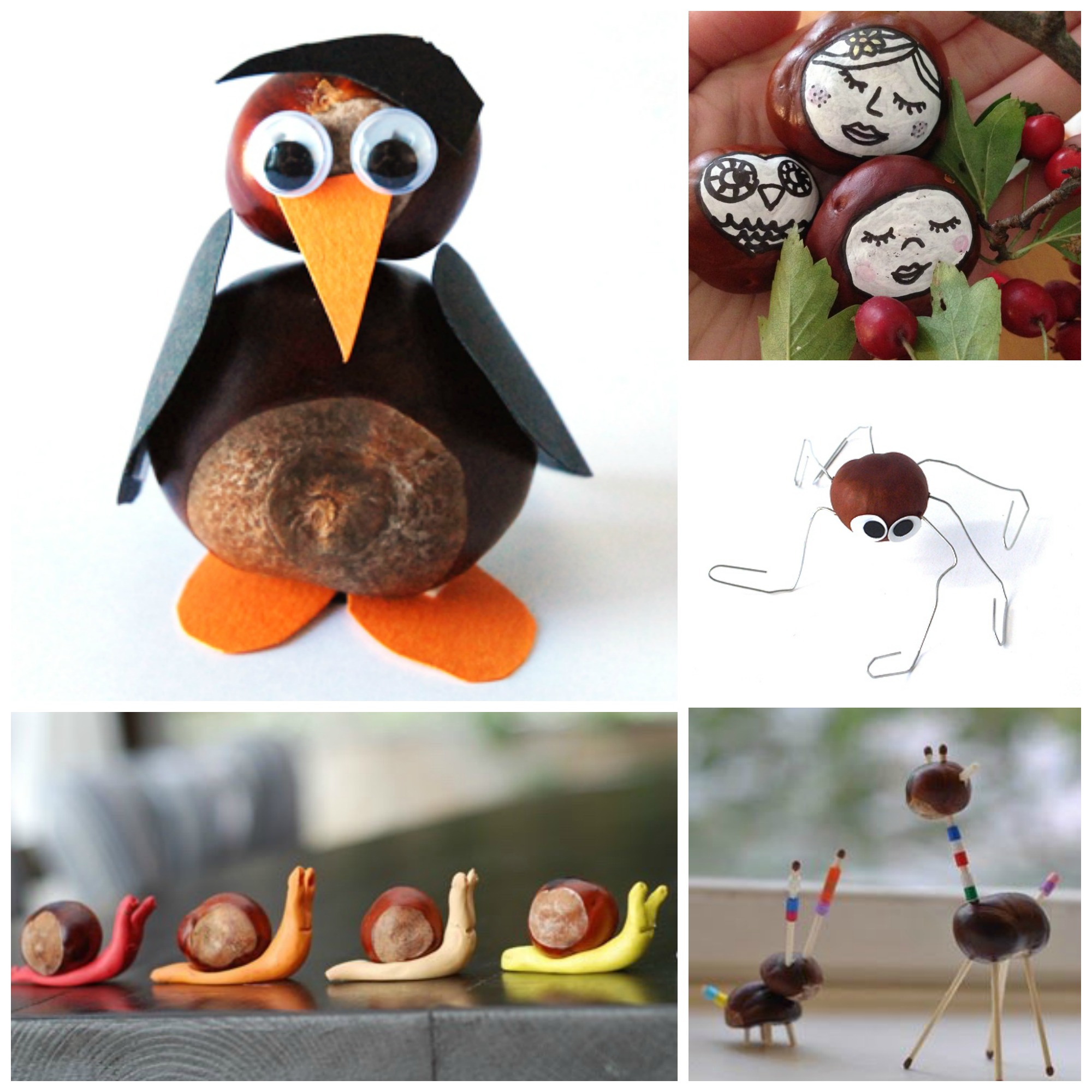 chestnut creatures 3