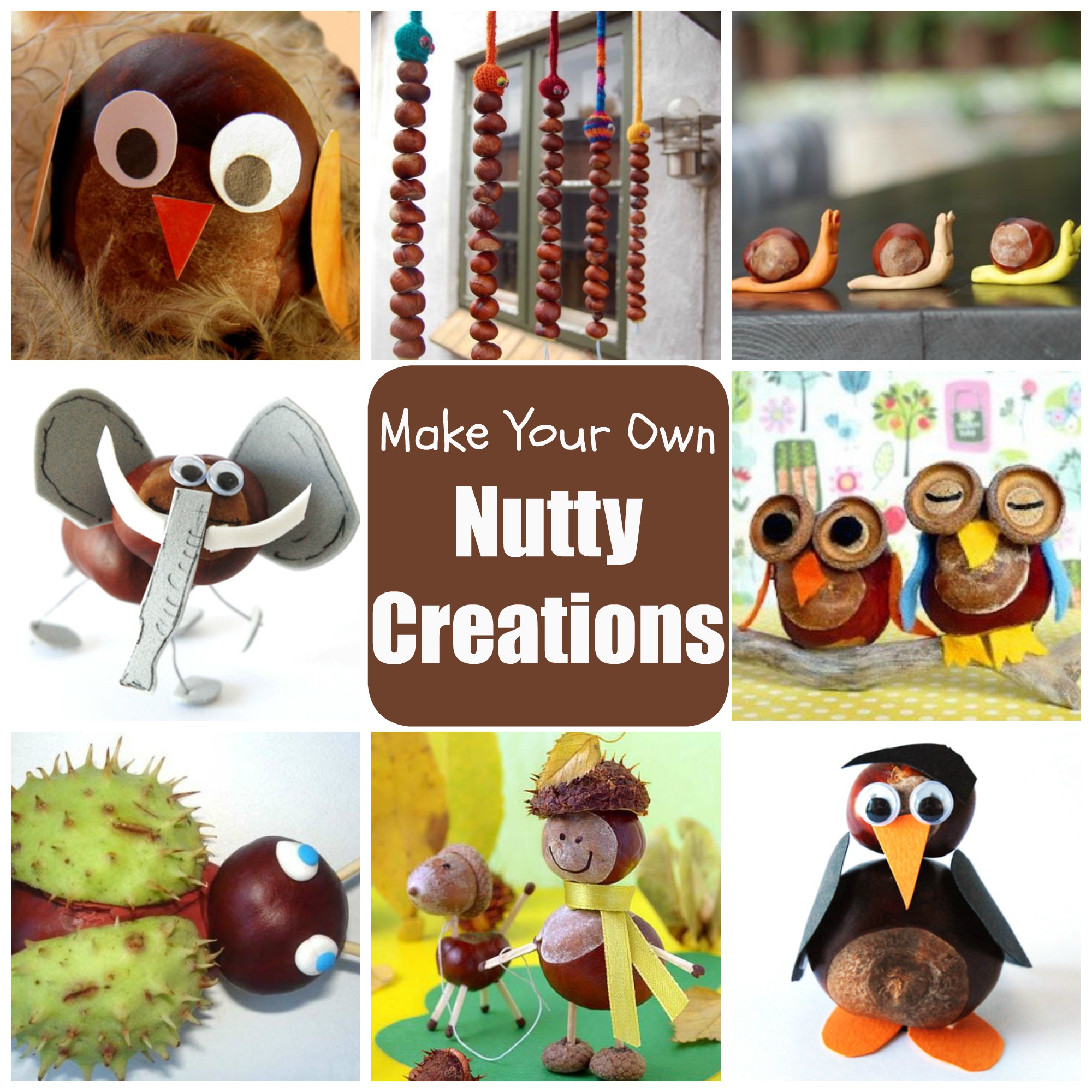 nutty creations