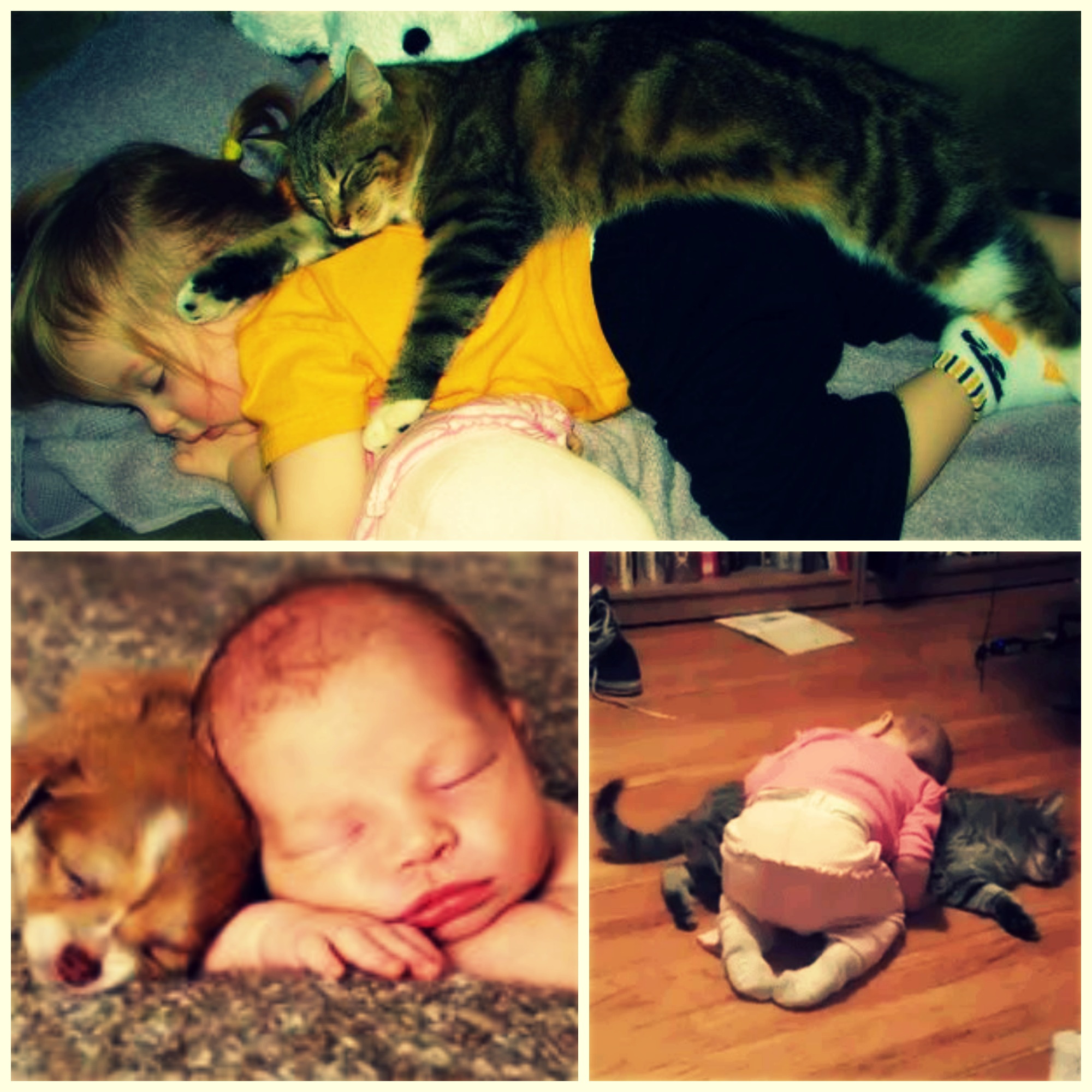 Sleeping kid9