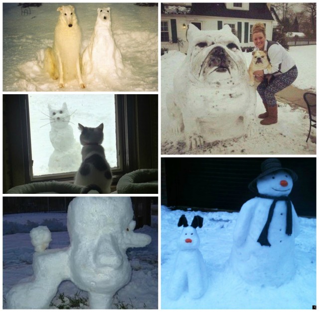 snow animals