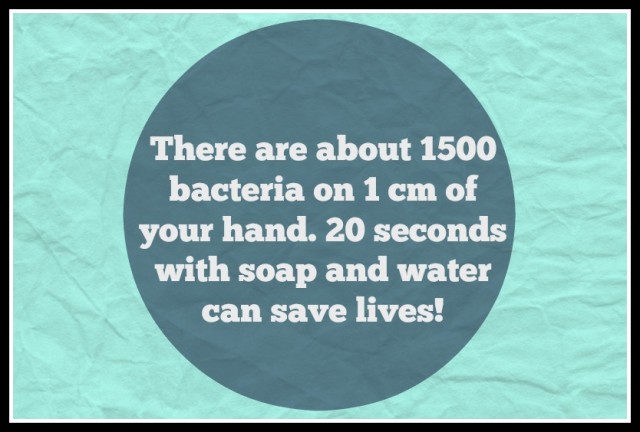 1500 bacteria