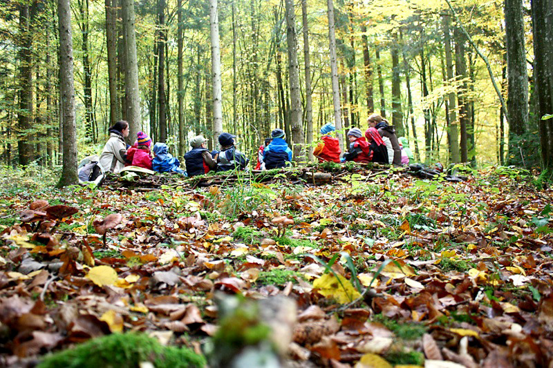 wald-kinder-sitzen