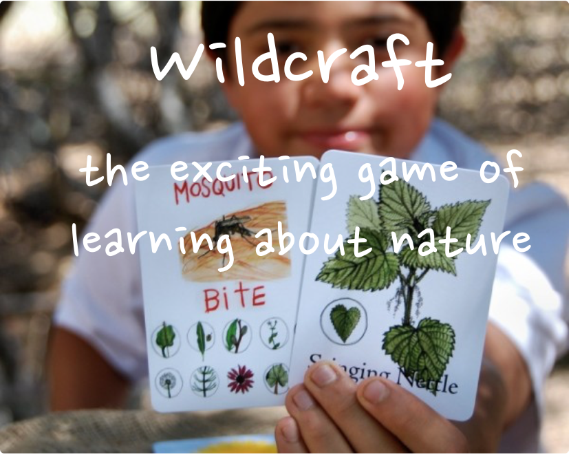 wildcraft-board game