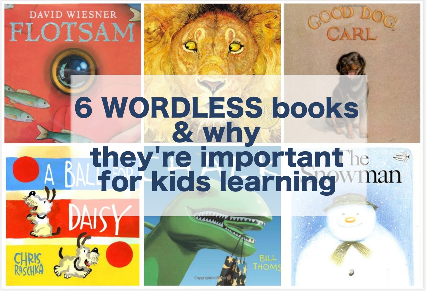 Wordless Books to spark the Imagination