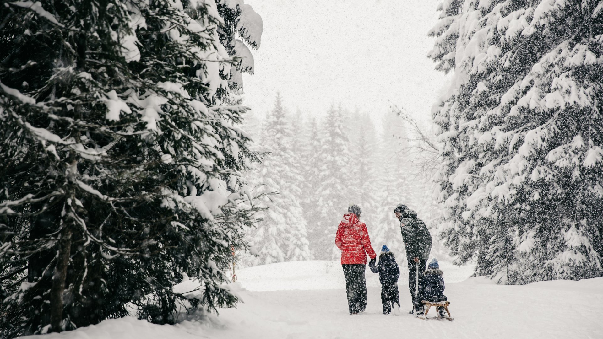 winter nature walk family