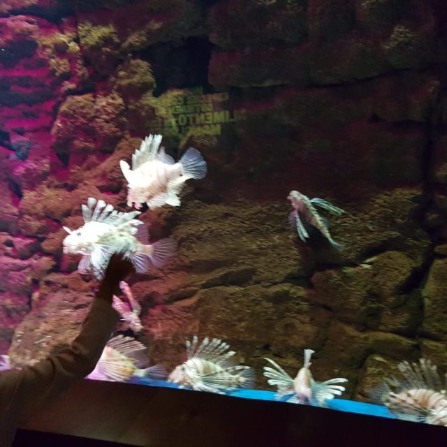 PHOTO-2019-05-28-14-27-40 5